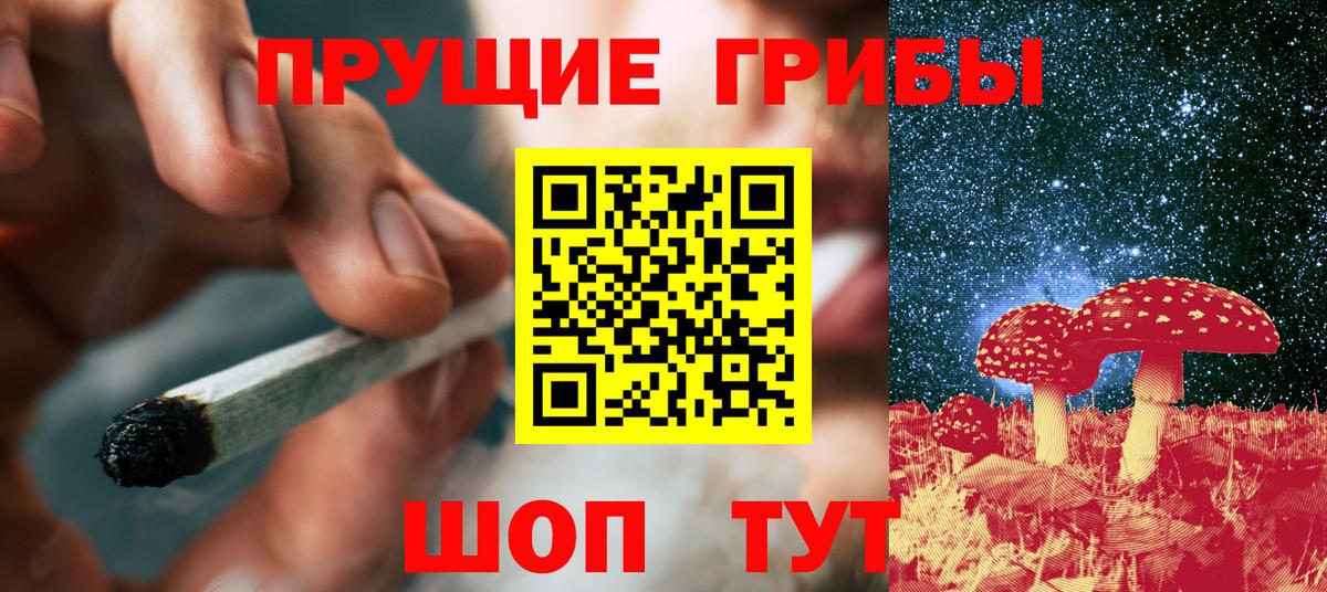 Галлюциногенные грибы Cubensis Волоколамск
