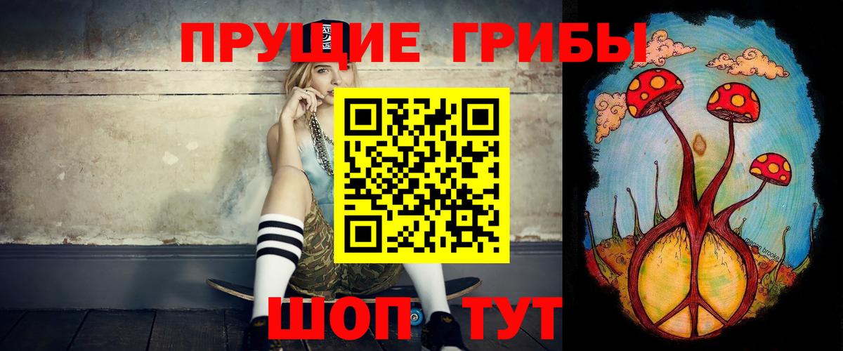 Волоколамск  Галлюциногенные грибы GOLDEN TEACHER  где купить наркотик  Вход с VPN 